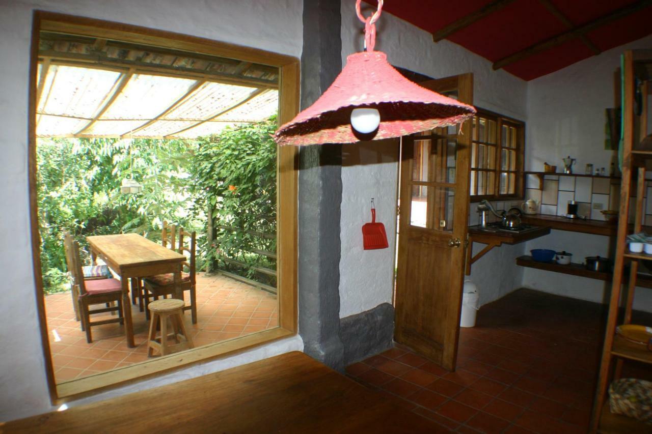 Bed and breakfast Avalon Boutique *